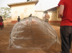 The final unit, awaiting wooden poles for additional shelf support. The idea is to dry the nuts under cover, to prevent the ubiquitous fungus from infecting the nuts.