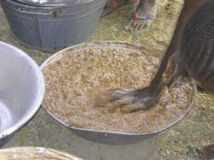 When ready (30 to 90 minutes of kneading later), water is added and a vigorous back and forth hand motion releases the grey oil to the surface.