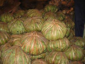 In Upper Guinea large balls of shea are wrapped in Kapok leaves and tied.