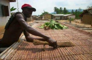 Here is a well made drying rack from the Western Region of Ghana