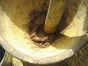 After cracking and drying, the "coffee", as we called the twice ground kernels are then pounded to release the oil.
