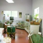 Soap Museum